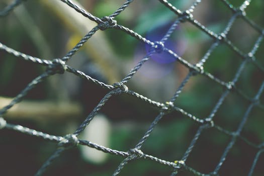 image of a piggy bank with a safety net